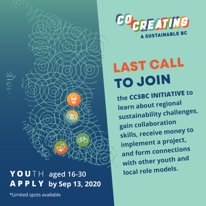 Social Media Campaign: Second Wave