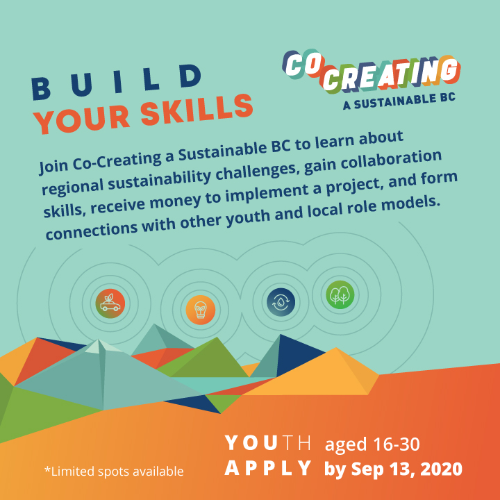 Social Media Campaign: Second Wave