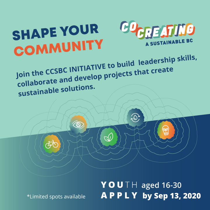 Social Media Campaign: Second Wave