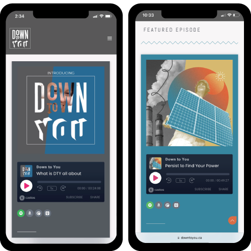 DTY-Website-Mobile-Responsive-01a